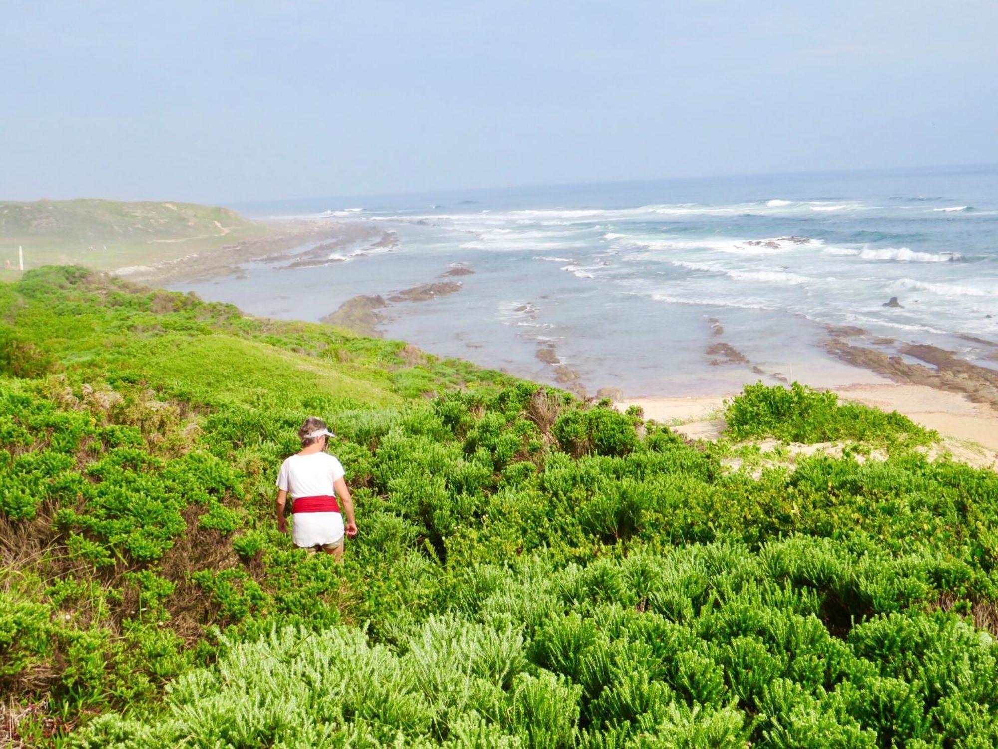 Whistlewood Guesthouse Walmer, Port Eizabeth Port Elizabeth Buitenkant foto