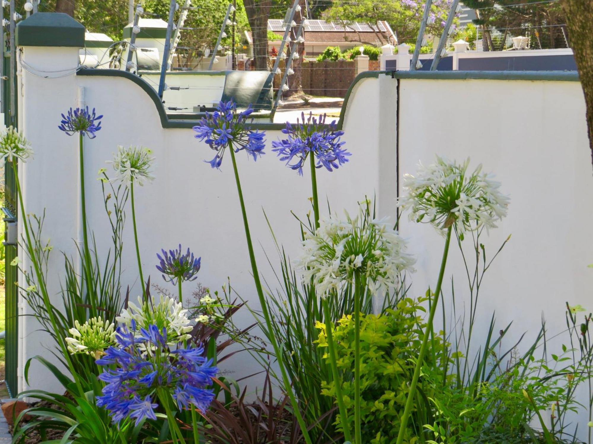 Whistlewood Guesthouse Walmer, Port Eizabeth Port Elizabeth Buitenkant foto