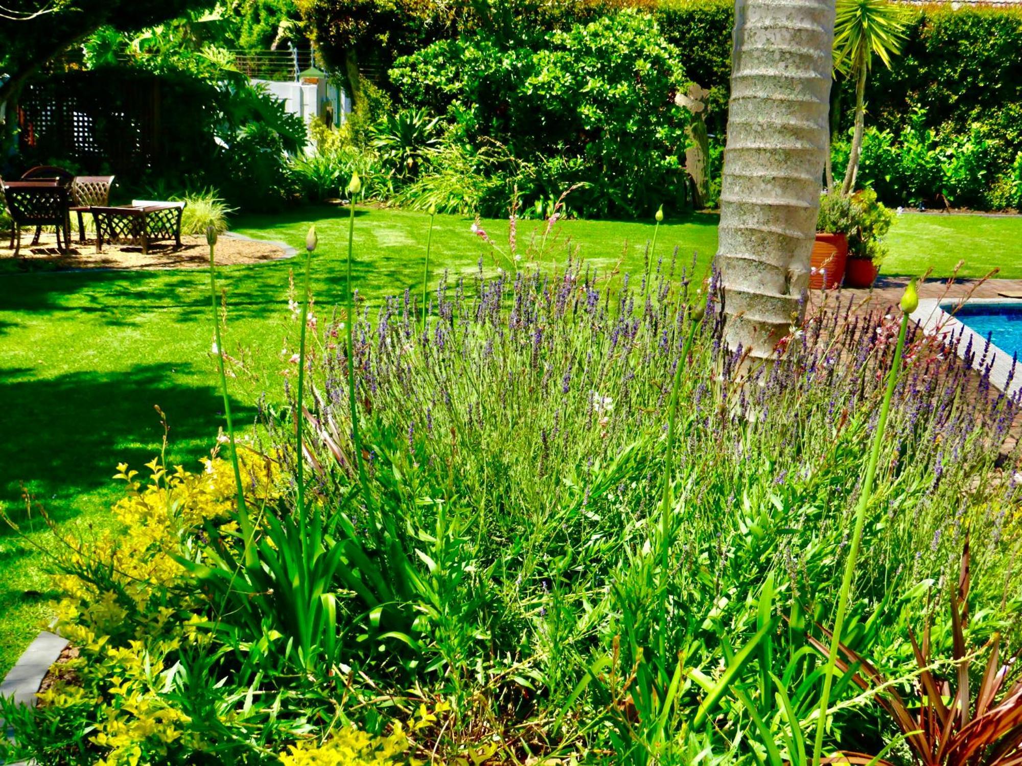 Whistlewood Guesthouse Walmer, Port Eizabeth Port Elizabeth Buitenkant foto