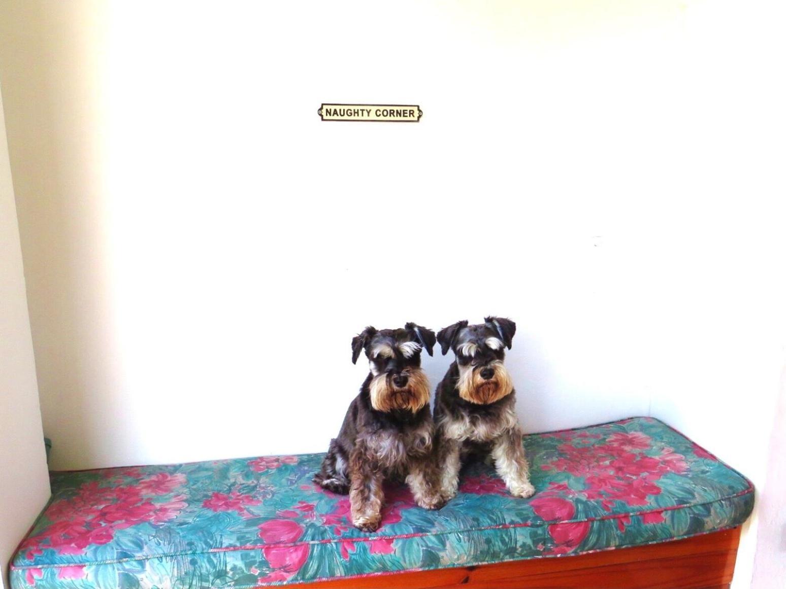 Whistlewood Guesthouse Walmer, Port Eizabeth Port Elizabeth Buitenkant foto