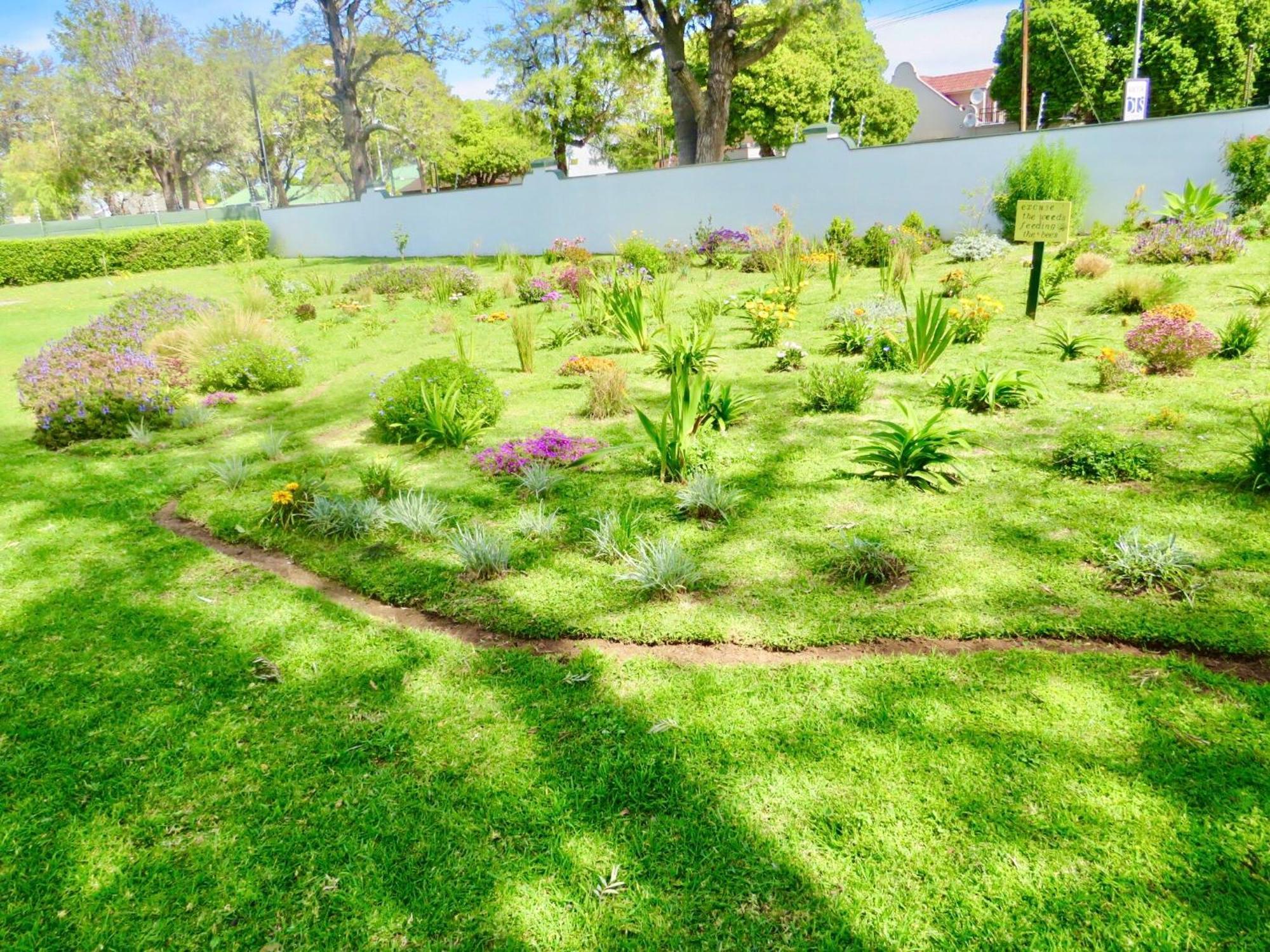 Whistlewood Guesthouse Walmer, Port Eizabeth Port Elizabeth Buitenkant foto