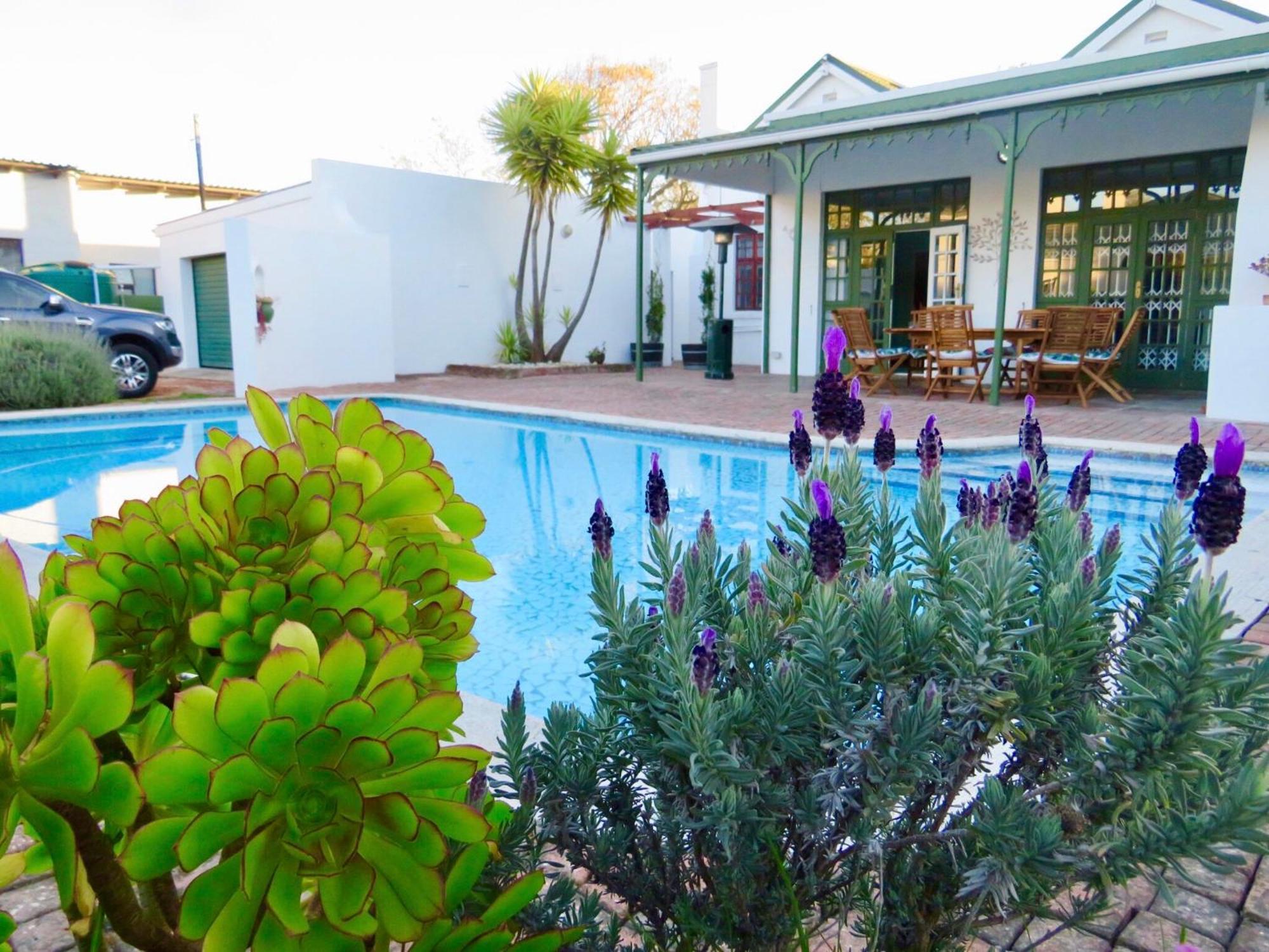 Whistlewood Guesthouse Walmer, Port Eizabeth Port Elizabeth Buitenkant foto