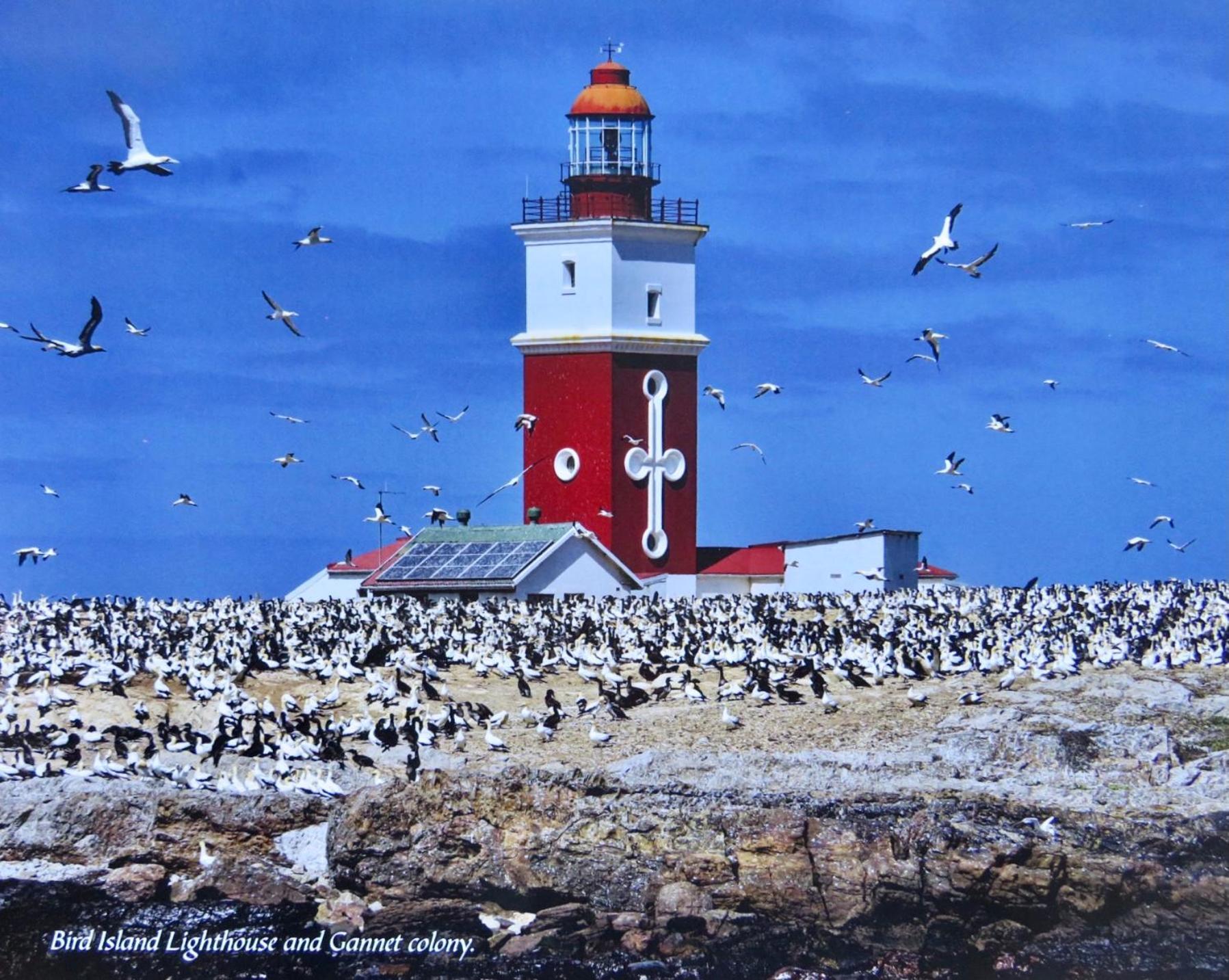 Whistlewood Guesthouse Walmer, Port Eizabeth Port Elizabeth Buitenkant foto