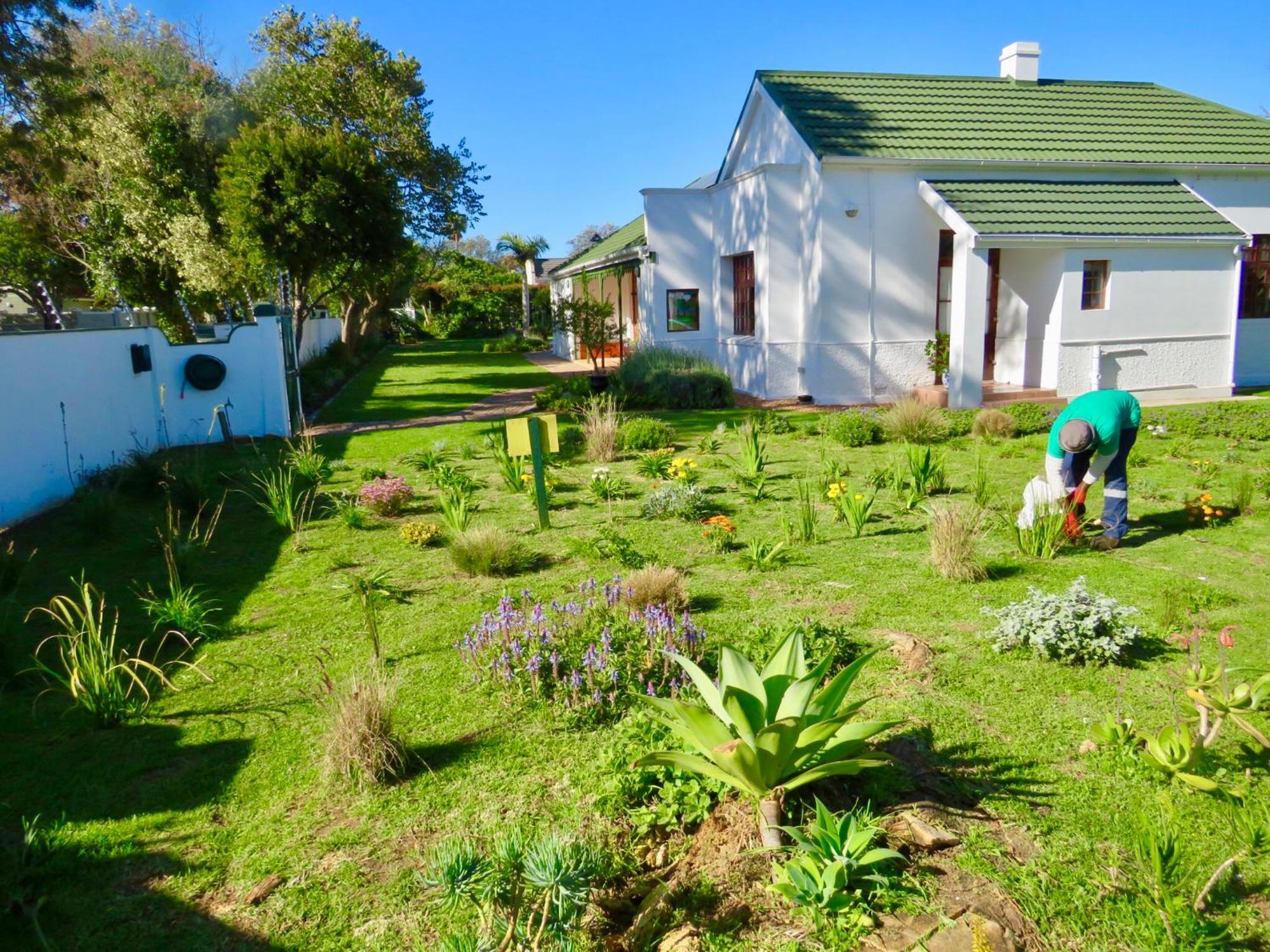 Whistlewood Guesthouse Walmer, Port Eizabeth Port Elizabeth Buitenkant foto