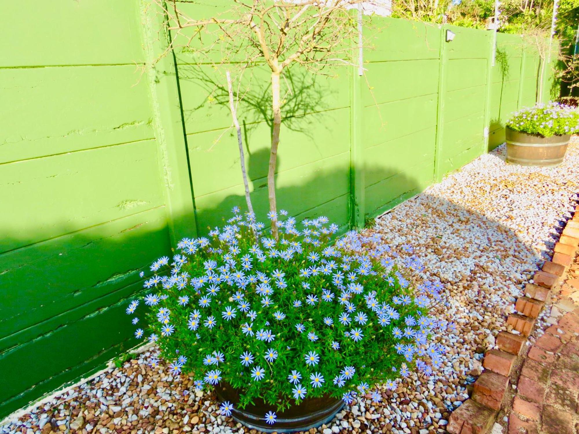 Whistlewood Guesthouse Walmer, Port Eizabeth Port Elizabeth Buitenkant foto